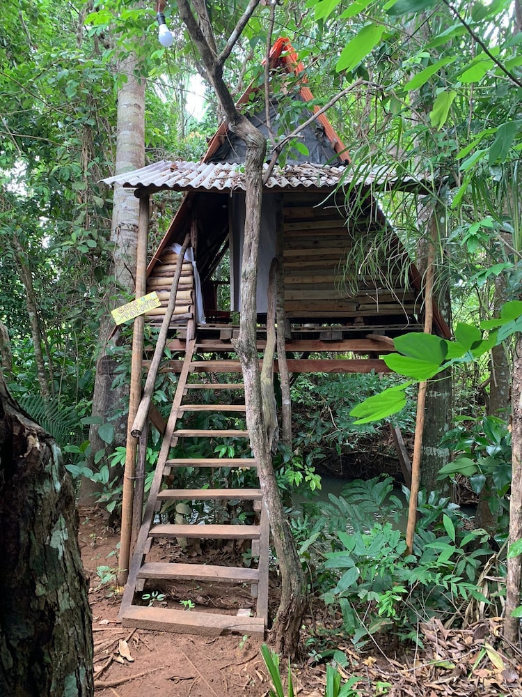 Exclusive Tree House photo 3