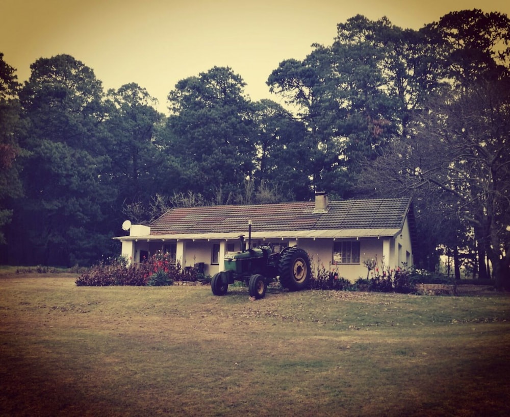 Forest Cottage photo 1
