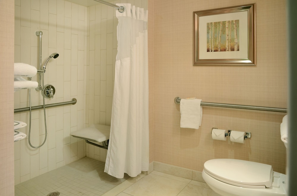 Standard Room, 1 Queen Bed, Accessible (Mobility, Roll-In Shower) - Photo 1
