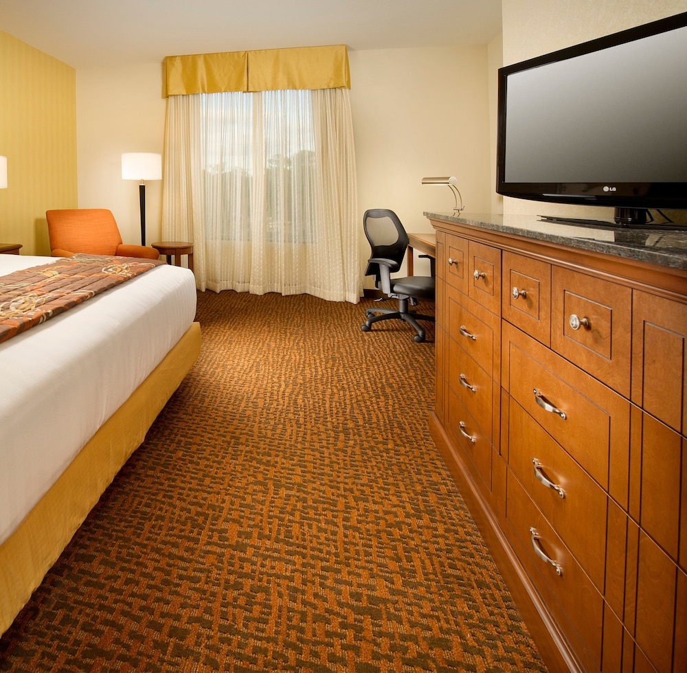Suite, 1 King Bed with Sofa bed, Refrigerator & Microwave (Upper Floor, 2 Rooms, Sofabed) photo 3