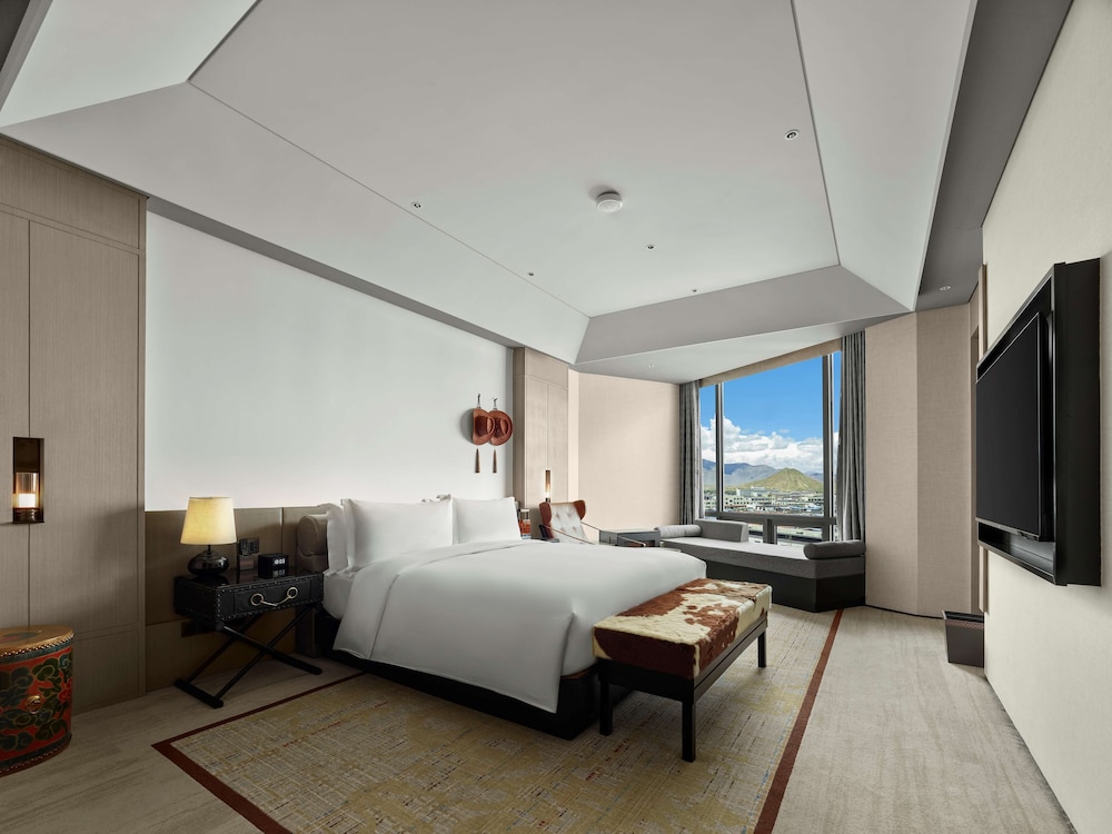 Suite, 1 Bedroom photo 3