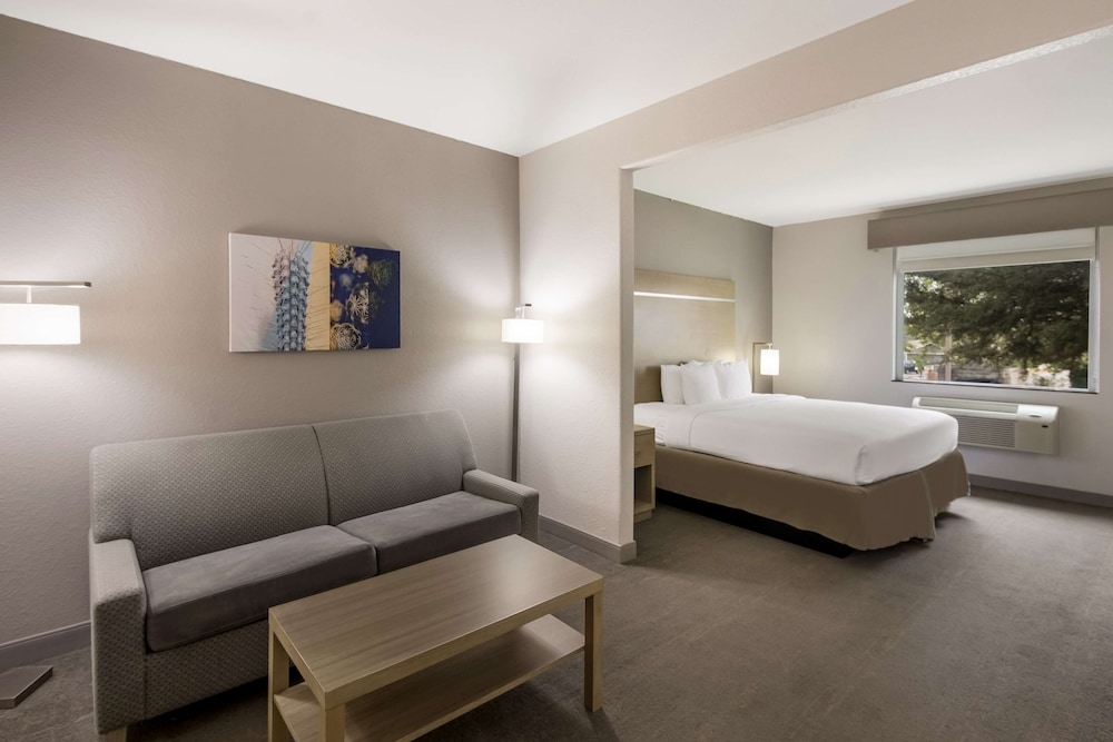 Standard Room, 1 King Bed, Non Smoking, Refrigerator & Microwave (with Sofabed) - Photo 2