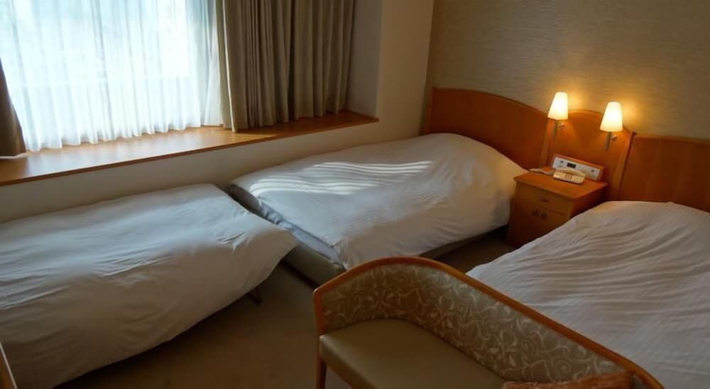 Triple Room, Non Smoking (2 beds with 1 extra bed) photo 2