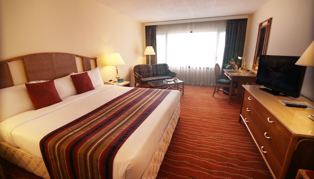 Executive Room photo 3
