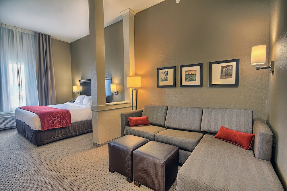 Executive Suite, 1 King Bed with Sofa bed, Non Smoking