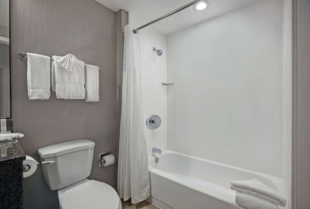 Suite, 1 King Bed, Non Smoking - Photo 4