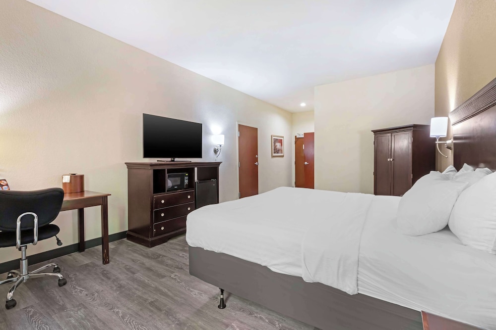 Standard Room, 1 King Bed, Accessible, Refrigerator & Microwave photo 3