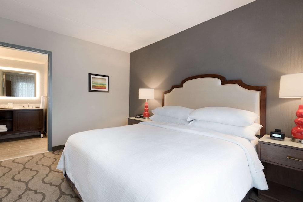 Premium Suite, 1 King Bed, Non Smoking (Hearing Accessible) photo 1