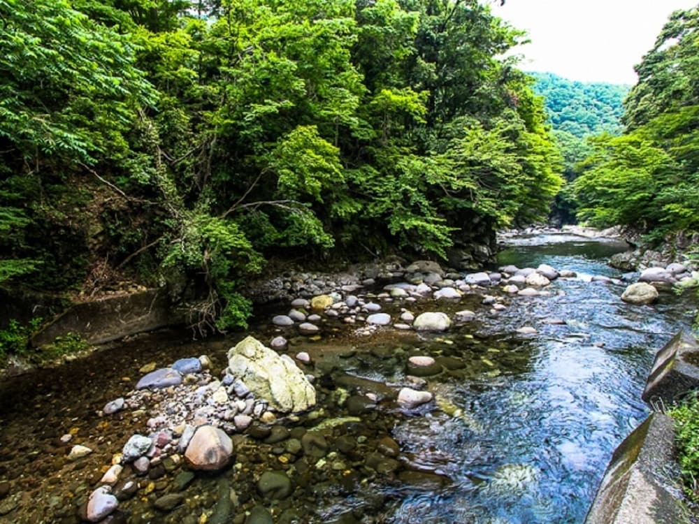 Superior Room with open-air bath, Smoking photo 3