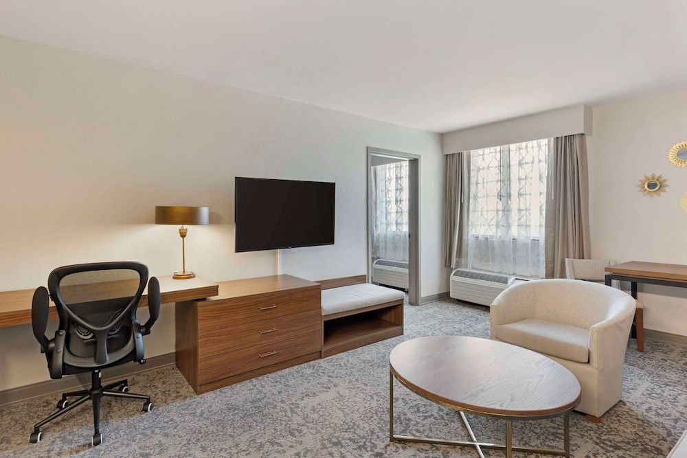 Suite, 1 King Bed, Non Smoking, Refrigerator & Microwave photo 1