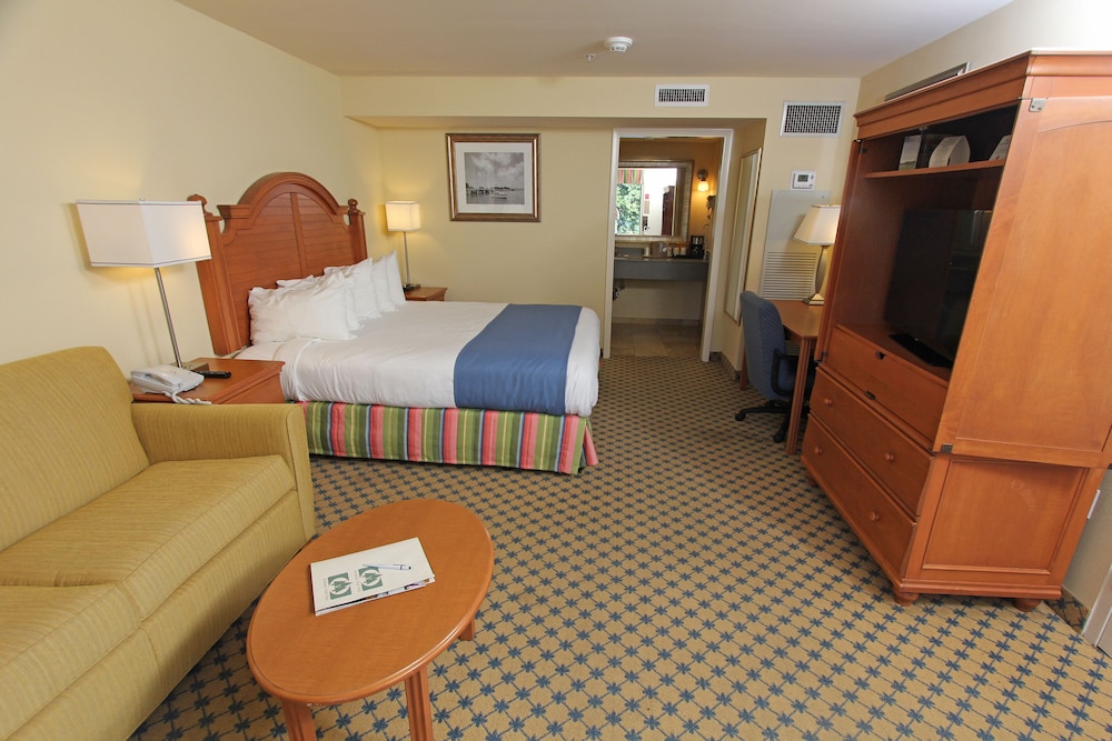 Standard Room, 1 King Bed with Sofa bed photo 2