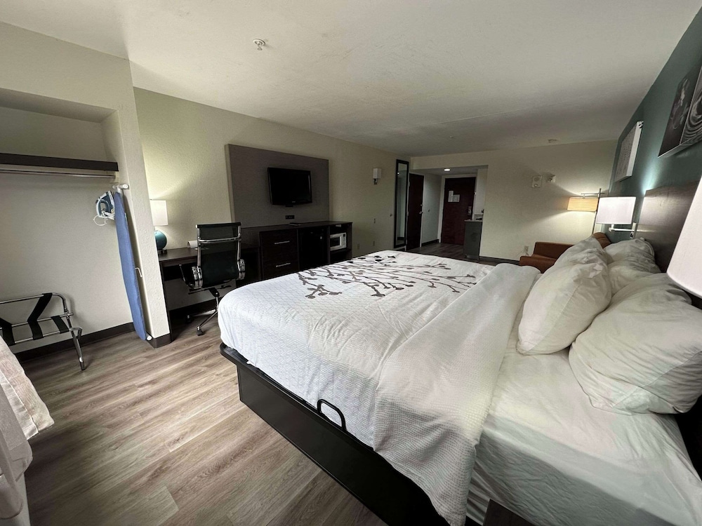 Standard Room, 1 King Bed, Non Smoking - Photo 4