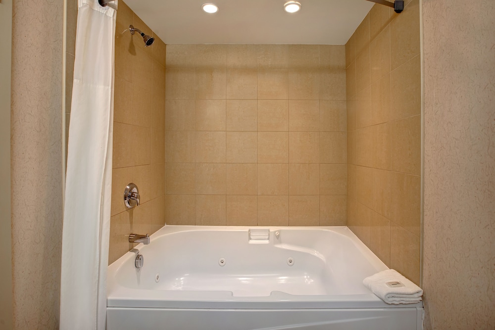 Single Room, 1 King Bed, Non Smoking (with Sofa Bed) photo 3