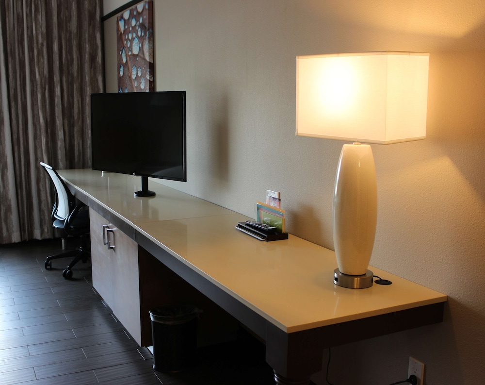 Room, 1 King Bed, Accessible (Roll In Shower)