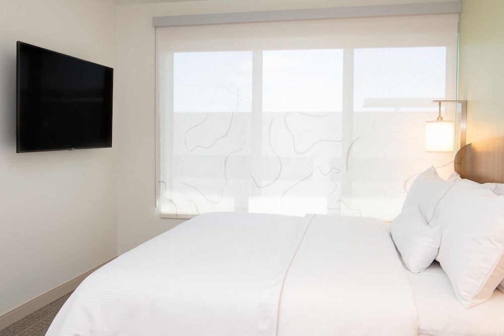 Suite, 1 Bedroom - Photo 4