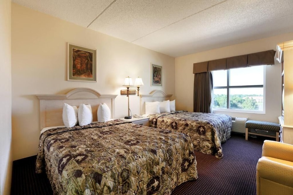 Standard Suite - Photo 3