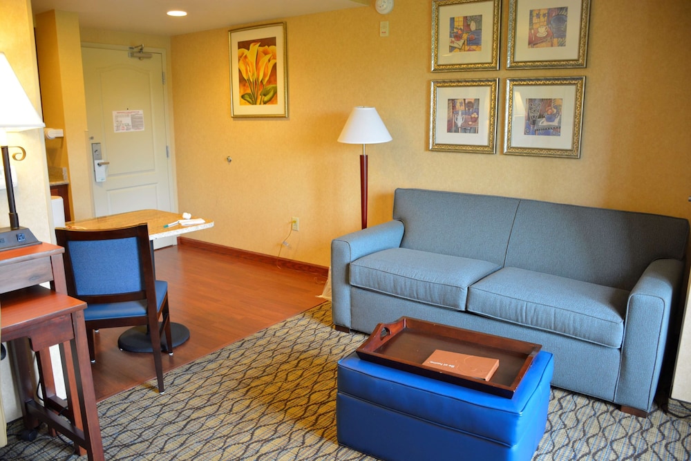 Studio Suite, 1 King Bed with Sofa bed - Photo 3