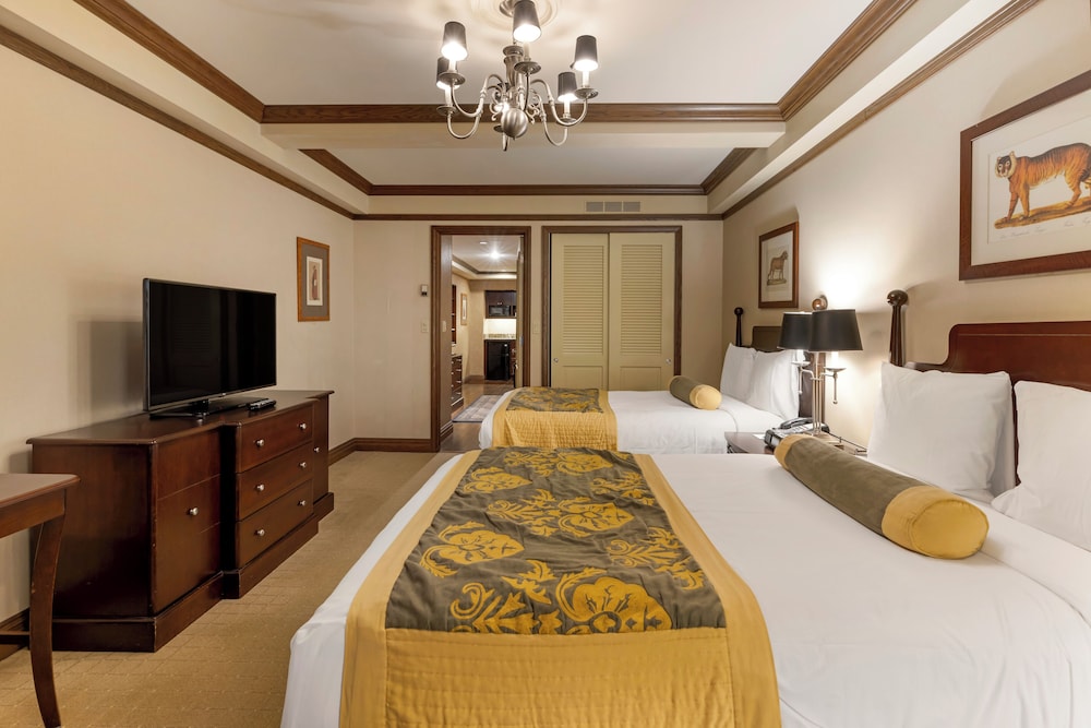 Family Suite photo 2