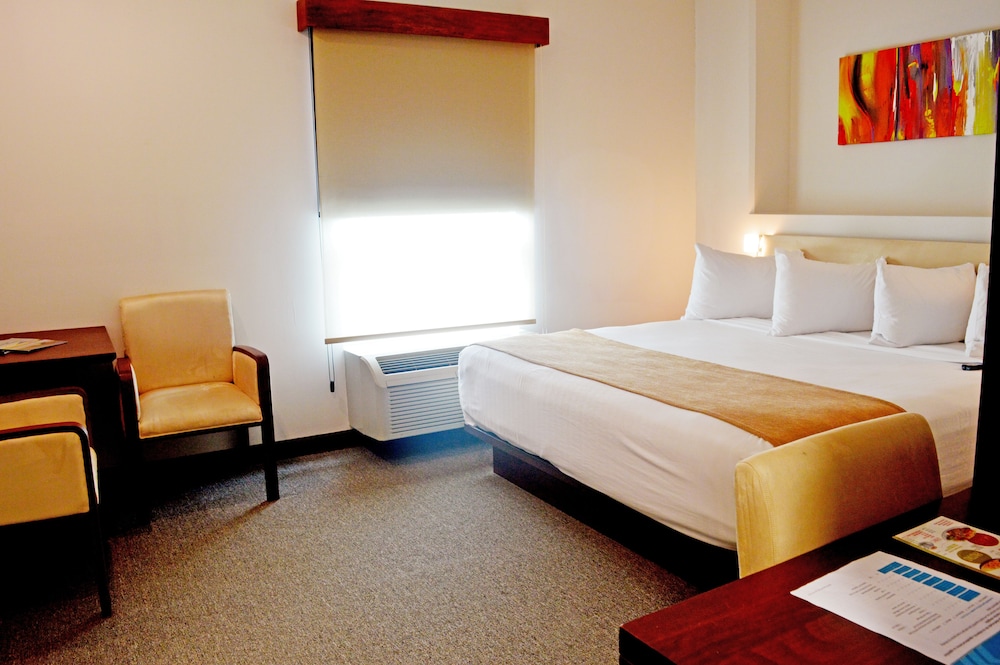 Suite photo 1