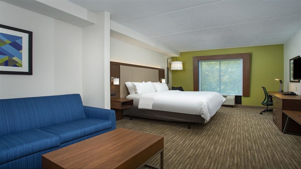Suite, 1 King Bed - Photo 1