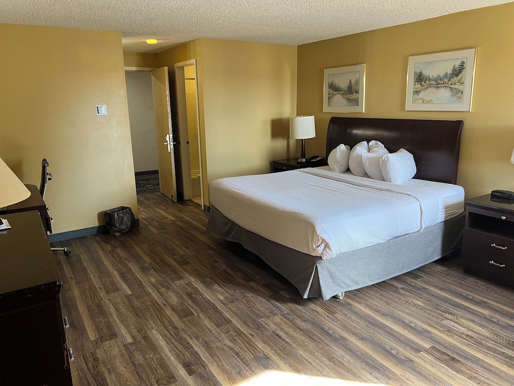 Standard Room, 1 King Bed, Kitchenette