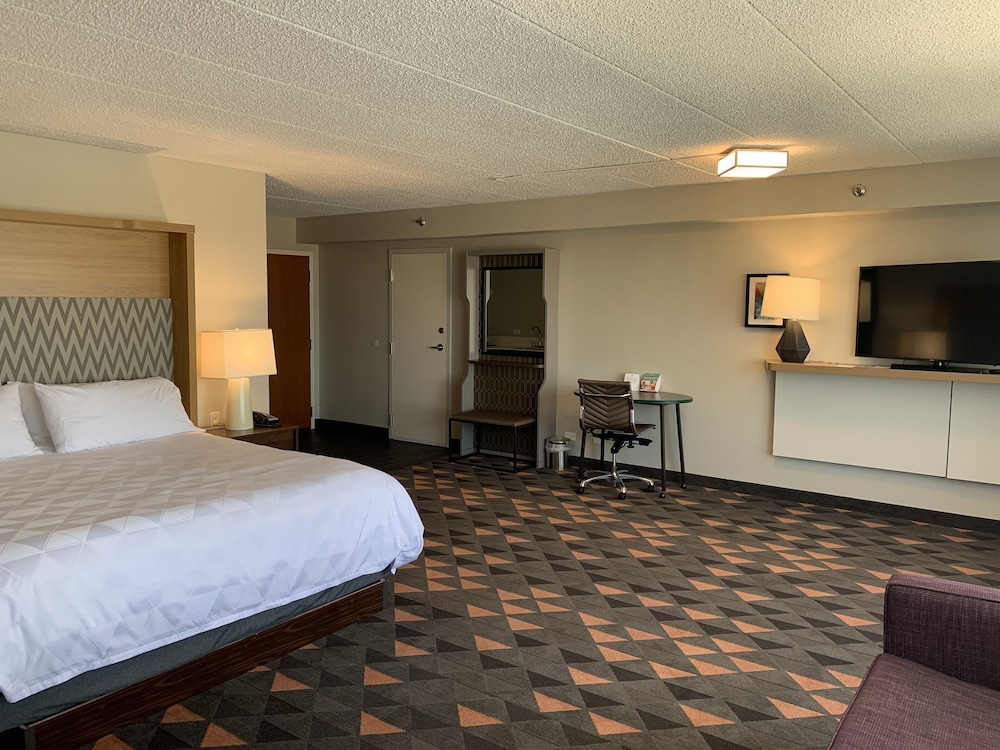 Suite, 1 King Bed - Photo 1