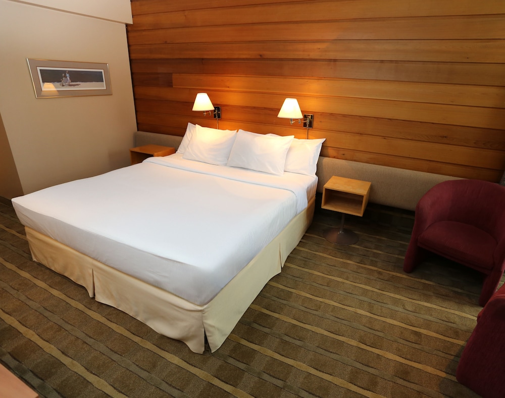 Classic Room, 1 King Bed