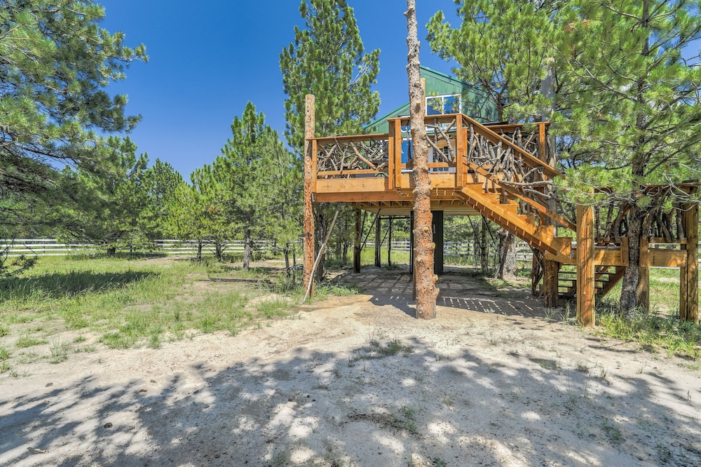 Tree House photo 3