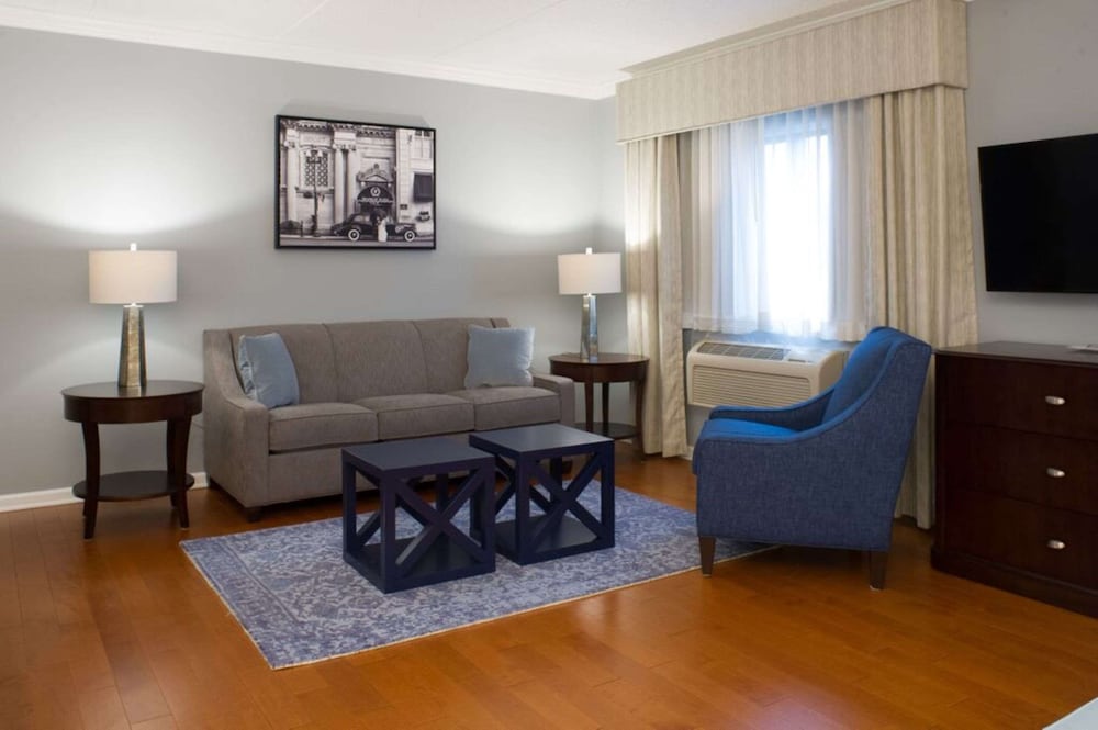 Suite, 1 King Bed, Non Smoking, Refrigerator & Microwave (With Sofabed) - Photo 3