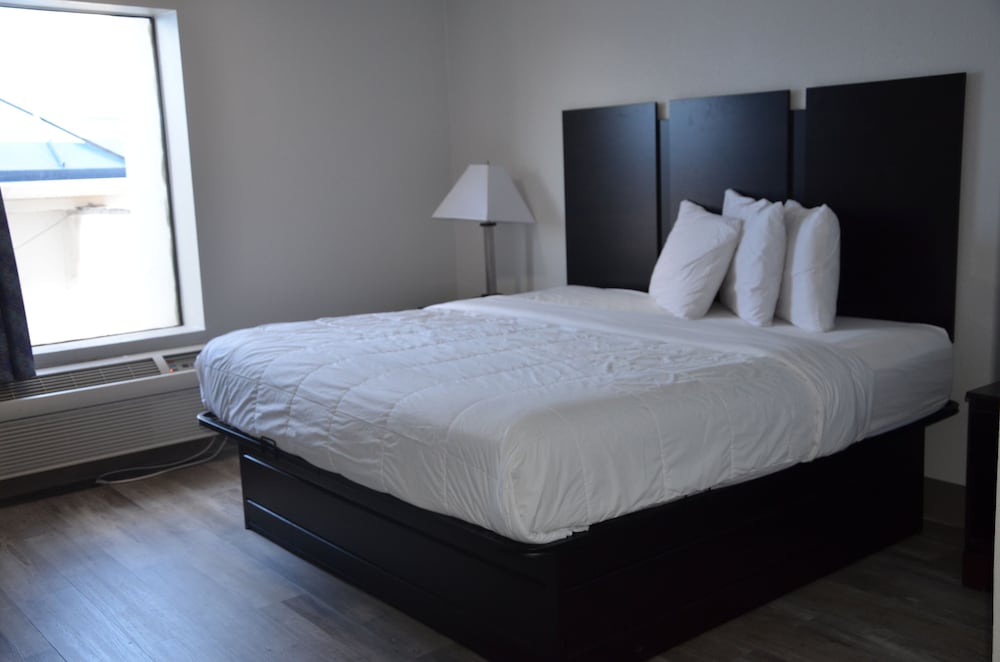 Basic Single Room photo 1
