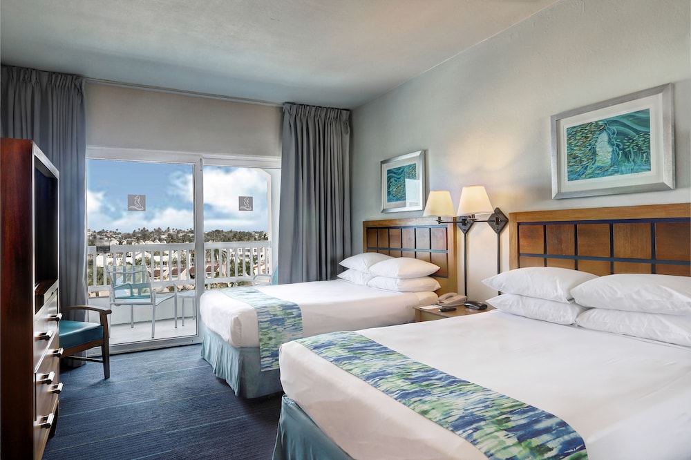 Studio Suite, 2 Double Beds