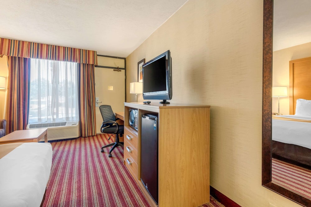 Standard Room, 1 King Bed, Smoking - Photo 10