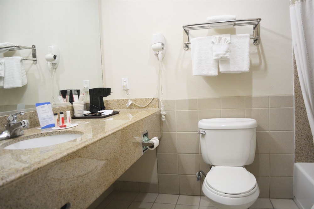 Suite - Photo 6