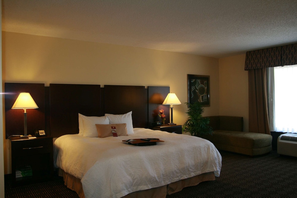 Suite, 1 King Bed, Non Smoking