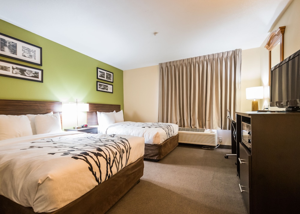 Suite, 2 Queen Beds, Non Smoking - Photo 3