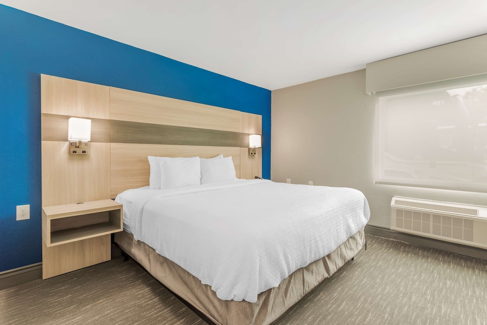 Standard Room, 1 King Bed, Accessible, Refrigerator & Microwave - Photo 4