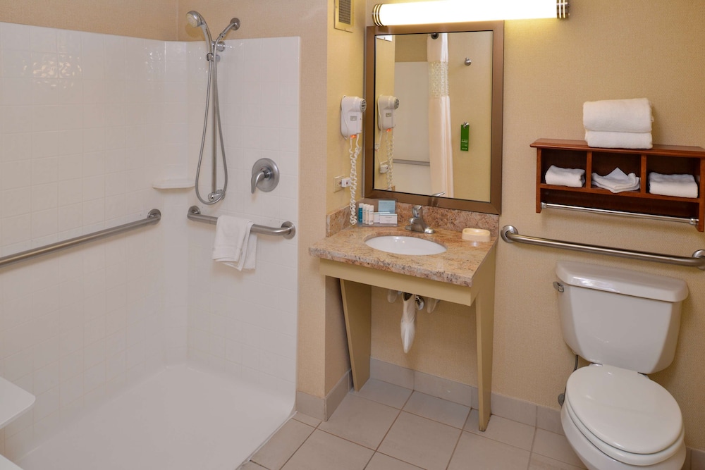 Room, 1 King Bed, Non Smoking (Roll-in Shower) - Photo 5