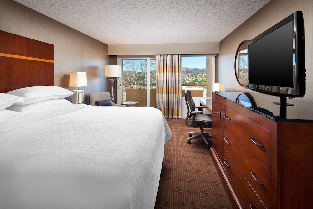 Room, 1 King Bed (Mobility/Hearing Access, Roll-In Shwr) - Photo 8