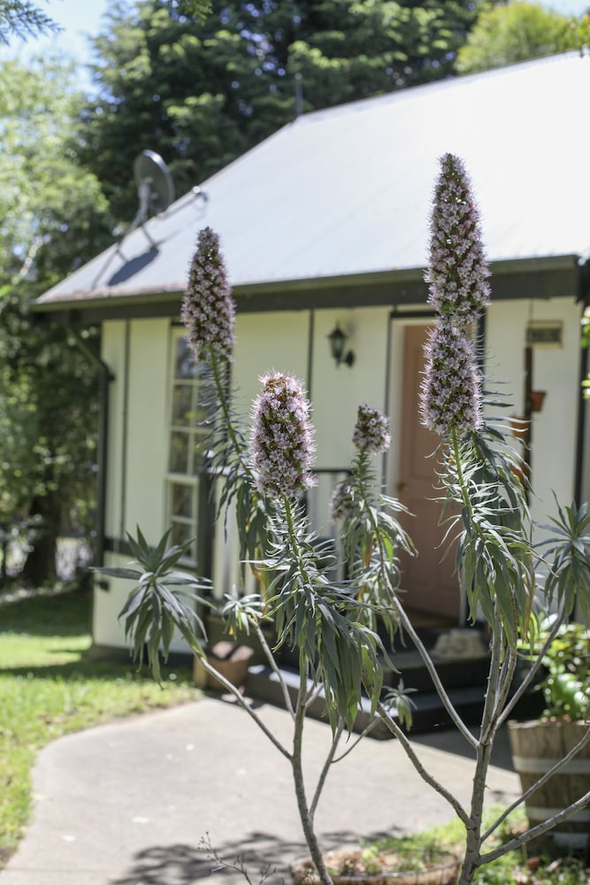 Classic Studio Suite, Garden View photo 2