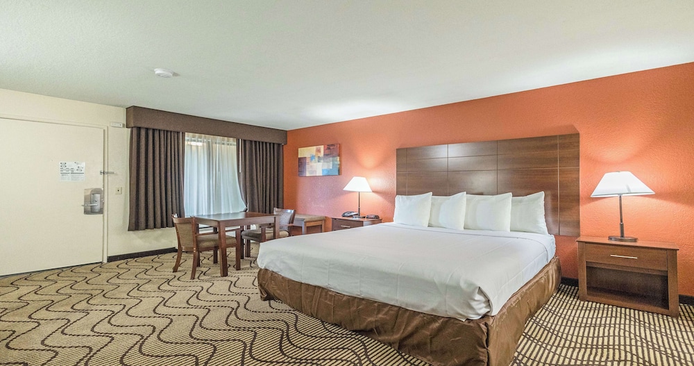 Deluxe Room, 1 King Bed, Non Smoking, Refrigerator & Microwave - Photo 4