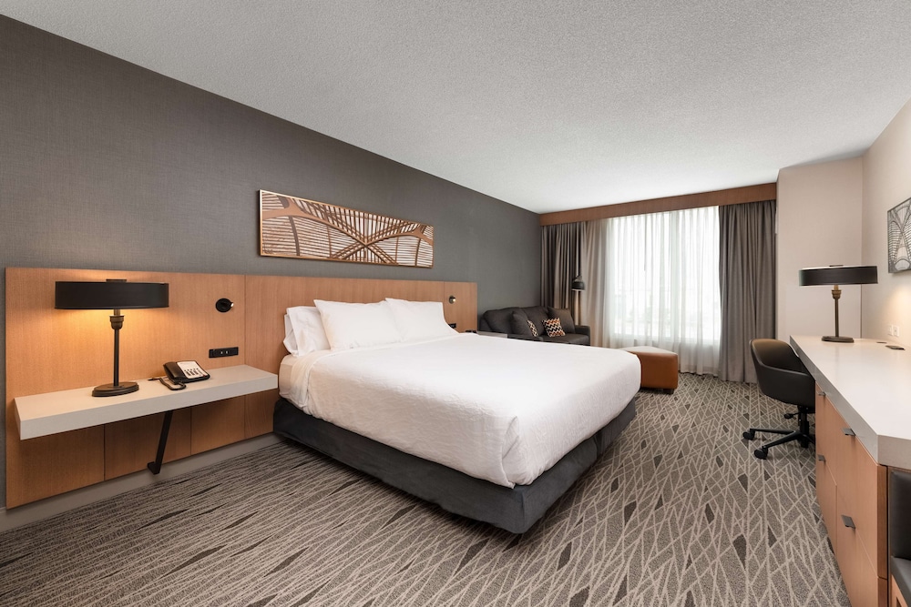 Room, 1 King Bed