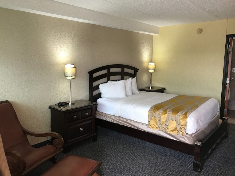 Deluxe Room, 1 Queen Bed photo 3