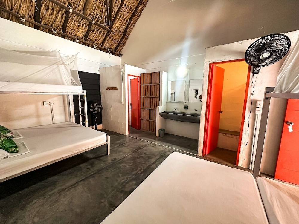 Shared Dormitory photo 3