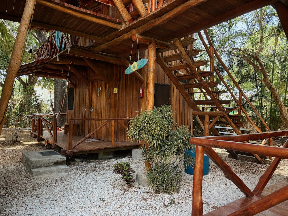 Traditional Tree House photo 2