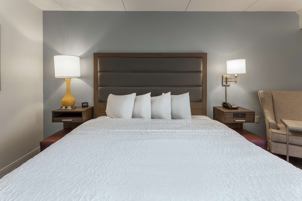 Room, 1 King Bed, Accessible, Non Smoking - Photo 1