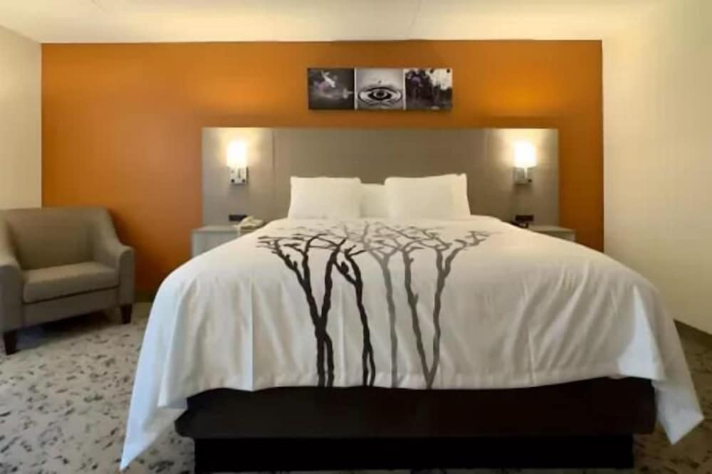 Standard Room, 1 King Bed, Non Smoking - Photo 1