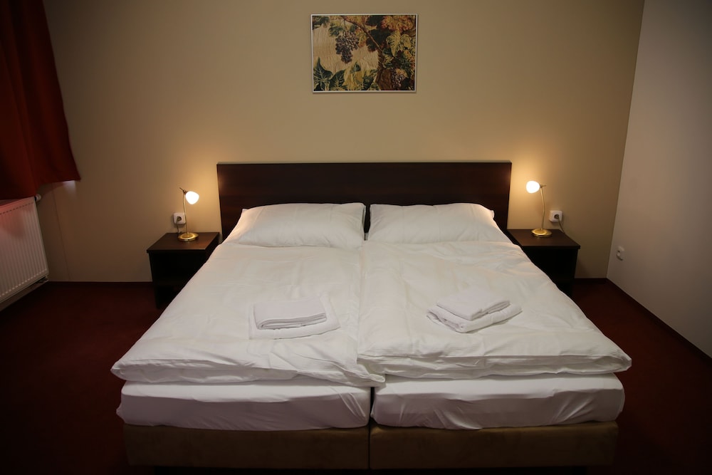 Standard Double Room (1 Extra Bed) photo 3