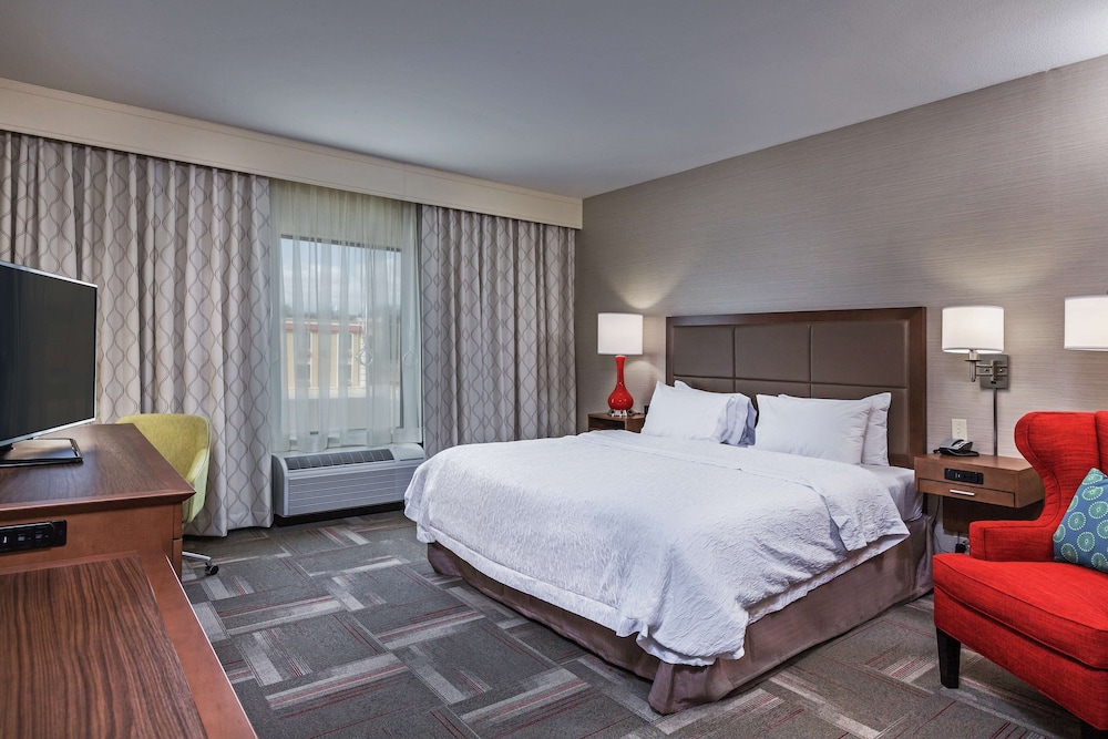 Room, 1 King Bed, Accessible (Hearing) photo 3