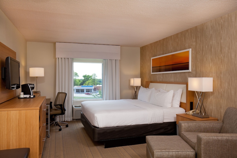 Suite, 1 King Bed - Photo 3