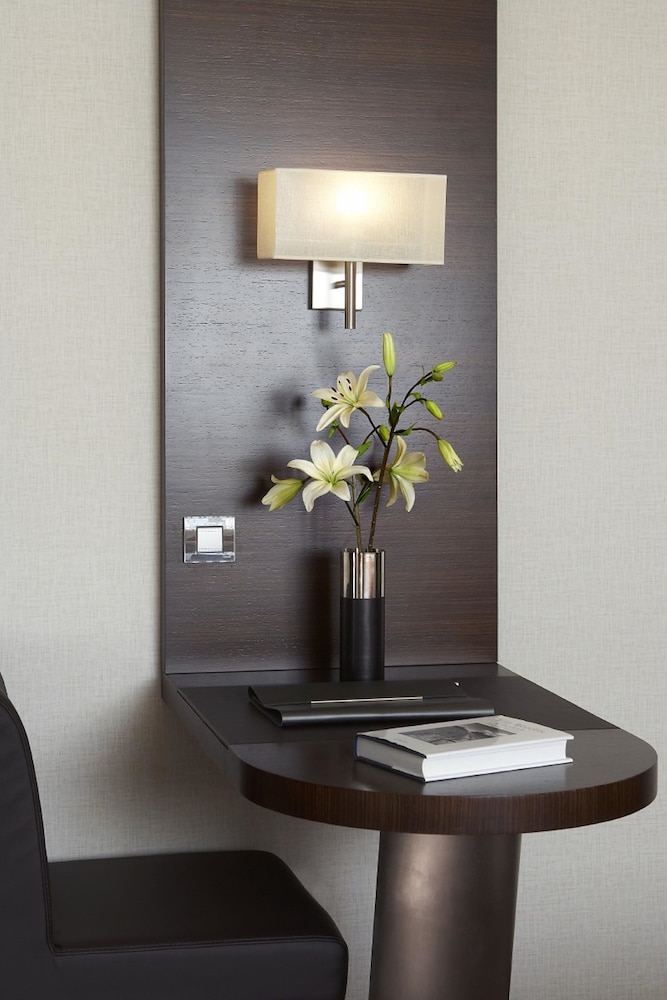 Executive Room - Photo 8